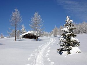 22808599-Ferienwohnung-4-Bad Kleinkirchheim-300x225-2