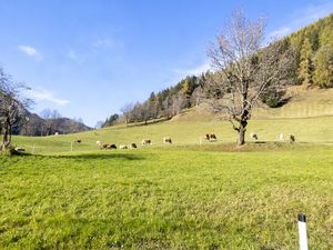 23473803-Ferienwohnung-5-Bad Kleinkirchheim-300x225-4