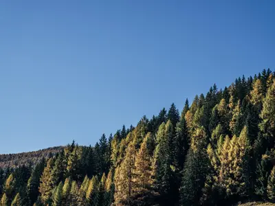 Natur©Slow Travel Resort_23