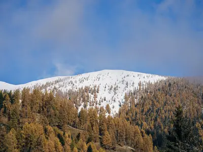 Natur©Slow Travel Resort_29