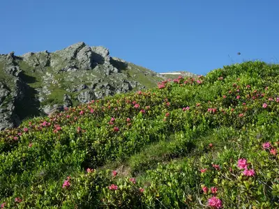 Discover our beautiful mountains!