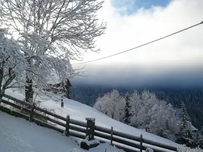 hinterm Haus