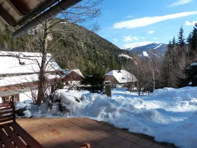 Winter 2
