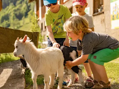 Tierfreundschaft
