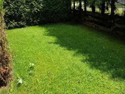 GardenSummer