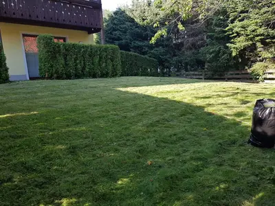GardenSummer