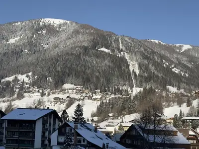 THERMEN-CHALET Ausblick Gartenseite