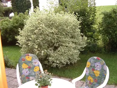 Ferienwohnung für 2 Personen (36 m²) in Bad Kohlgrub 1/9