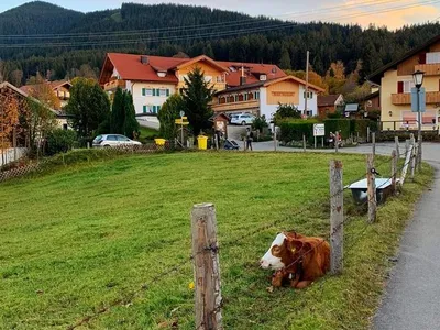 Ferienwohnung für 2 Personen (25 m²) in Bad Kohlgrub 9/10