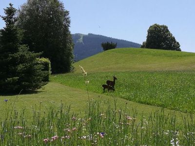 Ferienwohnung für 2 Personen (70 m²) in Bad Kohlgrub 5/10