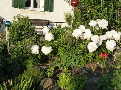 Ferienwohnung für 4 Personen (60 m²) in Bad Kohlgrub 10/10