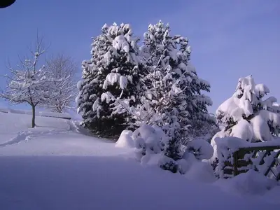 Ferienwohnung für 2 Personen (70 m²) in Bad Kohlgrub 10/10