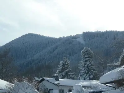 Ferienwohnung für 4 Personen (52 m²) in Bad Kohlgrub 3/10