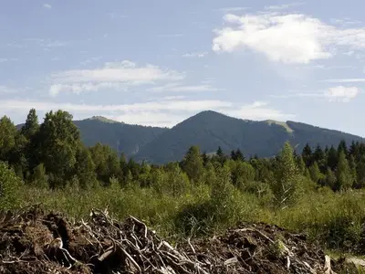Ferienwohnung für 2 Personen (20 m²) in Bad Kohlgrub 4/10