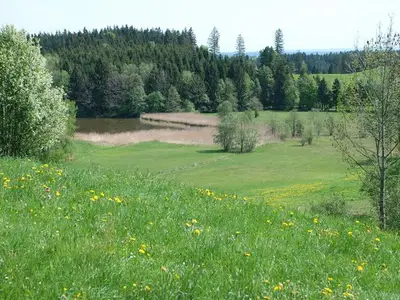 Ferienwohnung für 2 Personen (20 m²) in Bad Kohlgrub 6/10