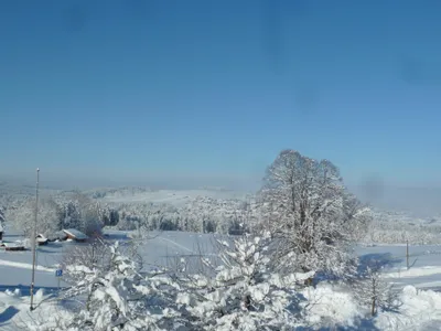 Ferienwohnung für 4 Personen (57 m²) in Bad Kohlgrub 3/10