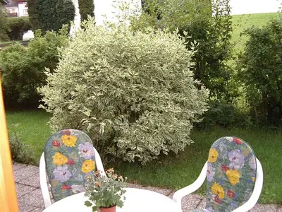 Ferienwohnung für 2 Personen (36 m²) in Bad Kohlgrub 1/10