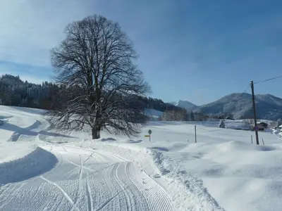 Ferienwohnung für 4 Personen (52 m²) in Bad Kohlgrub 7/10