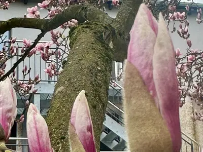 Ferienwohnung für 4 Personen in Bad Königshofen im Grabfeld 1/10