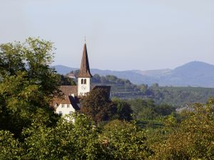 22403001-Ferienwohnung-2-Bad Krozingen-300x225-1