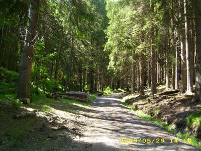 Wanderwege am Rothaarsteig für ausgedehnte Tageswanderungen