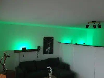 Ferienwohnung für 2 Personen (50 m²) in Bad Laasphe 6/10