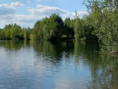 Heidesee