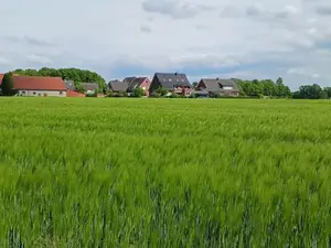 Ferienwohnung für 2 Personen (52 m²) in Bad Laer