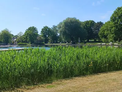 See im Kurpark Bad Laer