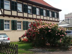 Ferienwohnung für 6 Personen in Bad Langensalza