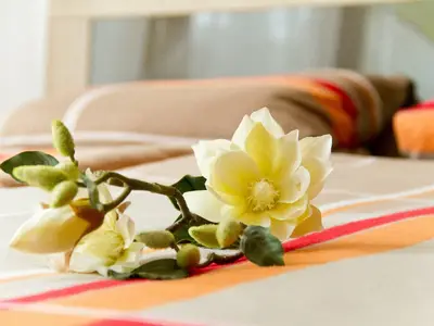 Ferienwohnung für 4 Personen (42 m²) in Bad Langensalza 8/8