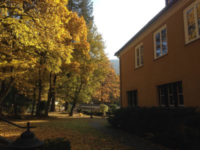 Ferienwohnung für 3 Personen (44 m²) in Bad Lauterberg 1/10