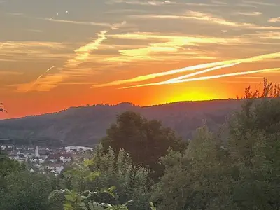 Ferienwohnung für 3 Personen (51 m²) in Bad Lauterberg 10/10