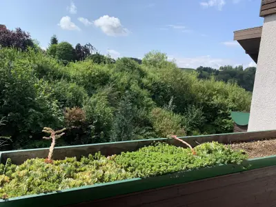 Ferienwohnung für 2 Personen (46 m²) in Bad Lauterberg 8/10