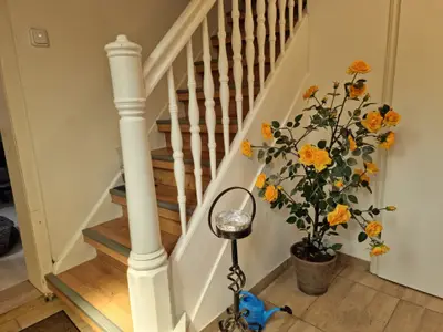 Ferienwohnung für 3 Personen (60 m²) in Bad Lauterberg 9/10