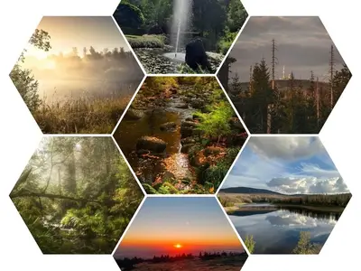 Ferienwohnung für 2 Personen (60 m²) in Bad Lauterberg 9/10