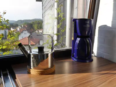 Helle Küche mit Blick in den Garten
