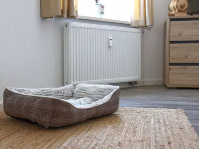 Ein schöner Platz für den Hund
