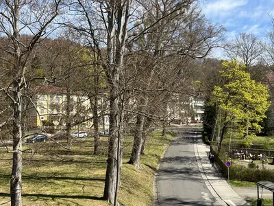 Ferienwohnung für 2 Personen (63 m²) in Bad Liebenstein 4/10