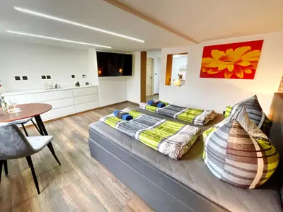 Gesamtansicht des Schlafzimmers mit Blick auf Eingangsbereich in dem sich Küchenzeile und Dusche befinden