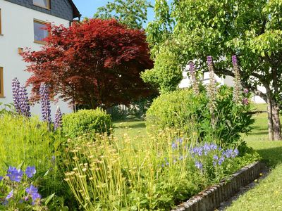 Garten Farbenspiel