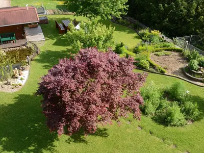 Garten mit Blick von oben