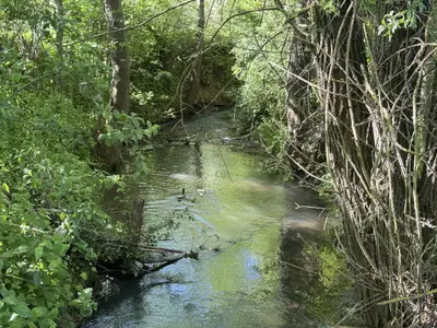 Markelsheimer Bachidylle