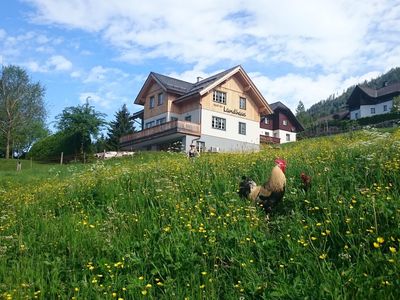 Knoedl-Alm-Landhaus-Urlaub-Bad-Mitterndorf-Bauernh