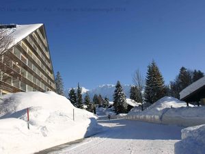 Ferienwohnung für 4 Personen (55 m²) in Bad Mitterndorf