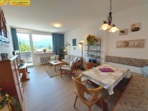 Ferienwohnung für 4 Personen (60 m²) in Bad Mitterndorf