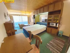 Ferienwohnung für 3 Personen (35 m²) in Bad Mitterndorf