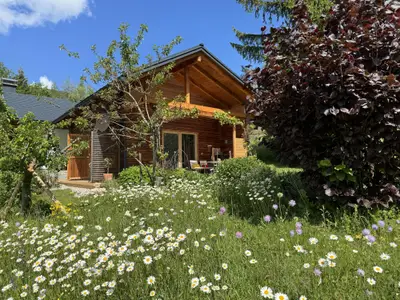 Wildrose im Bluetenkleid mit neuer Terrasse