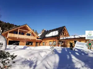 Ferienwohnung für 3 Personen (35 m²) in Bad Mitterndorf