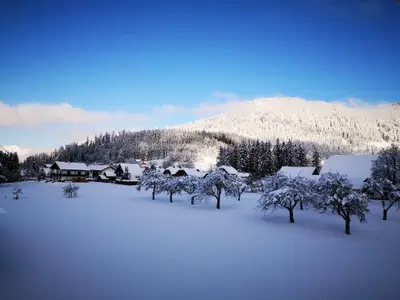 Ferienwohnung Bergfeeling, Winterlandschaft